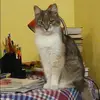 Отзыв от Варвара Зыкова